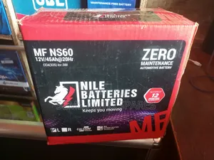 Ns60 45ah Battery NBL