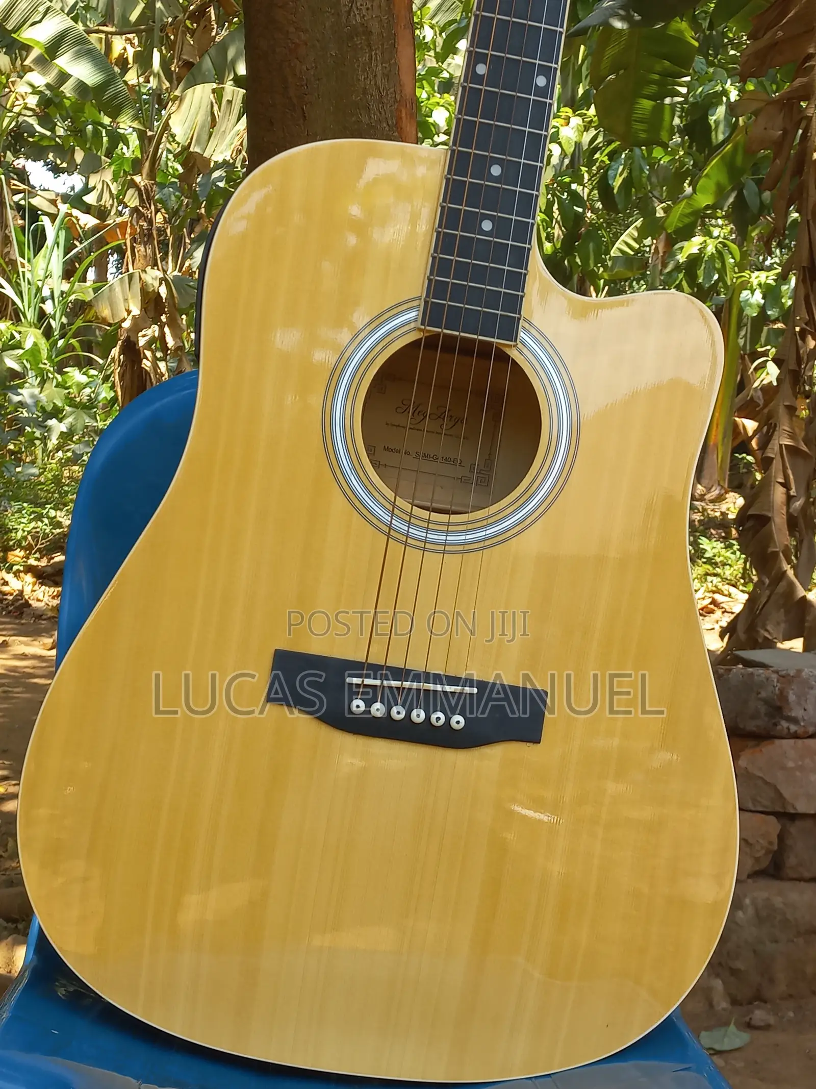 Electric Acoustic Guitar