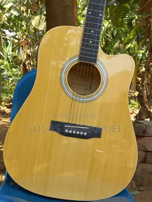 Electric Acoustic Guitar