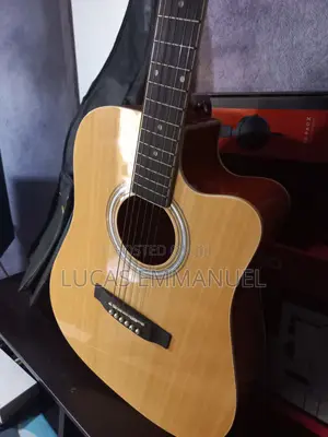 Electric Acoustic Guitar