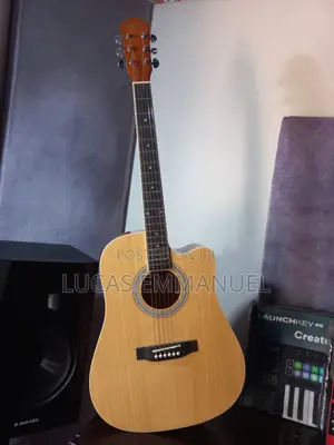 Electric Acoustic Guitar