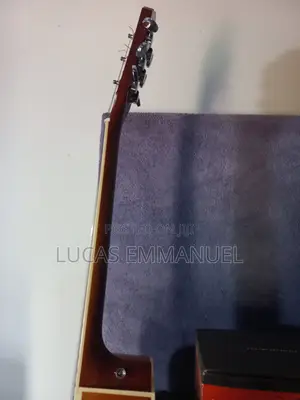 Electric Acoustic Guitar