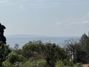 Direct Owner: 38 Decimals With Lake View in Bwerenga! 🛑 260M UGX