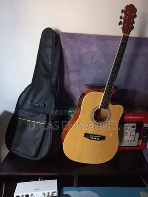 Electric Acoustic Guitar