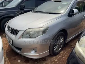 Toyota Corolla Fielder 2010 Silver