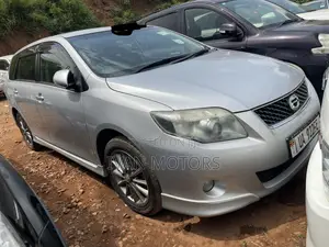 Toyota Corolla Fielder 2010 Silver