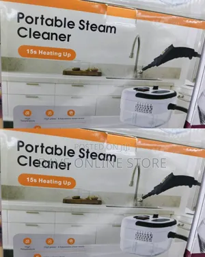Portable Steam Cleaner