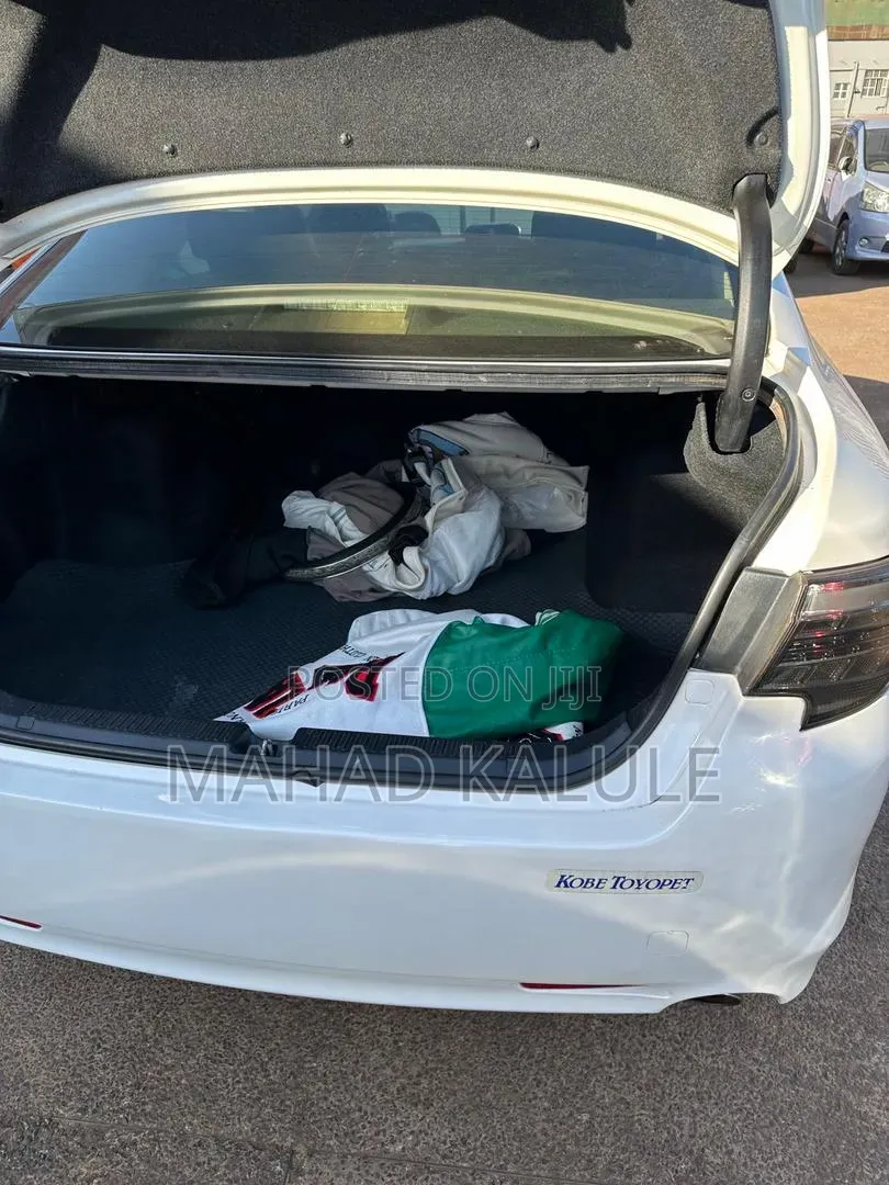 Toyota Mark X 2013 White