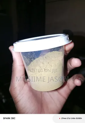Ginger Powder