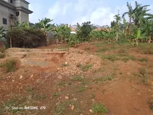 Property in Jomayi Katale