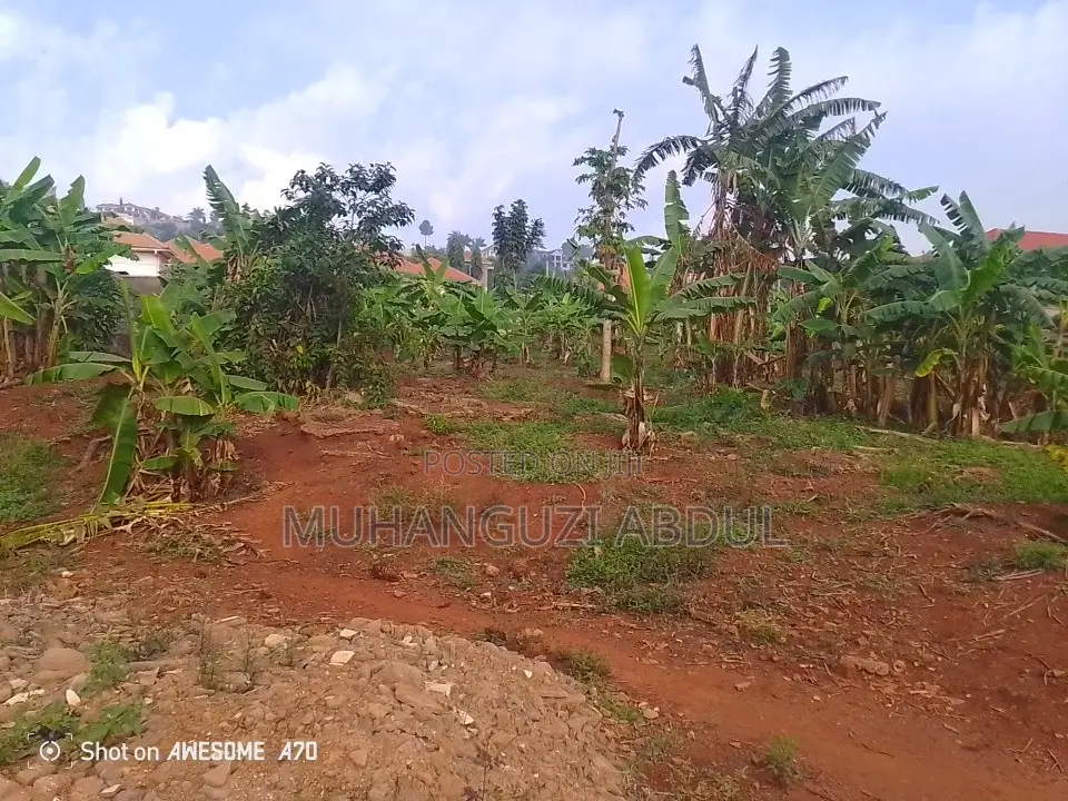 Property in Jomayi Katale