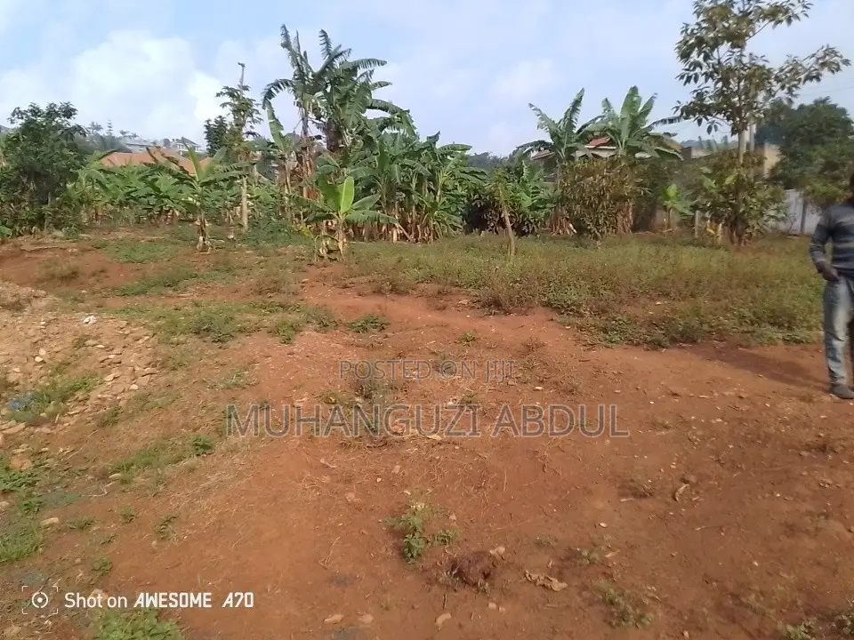 Property in Jomayi Katale