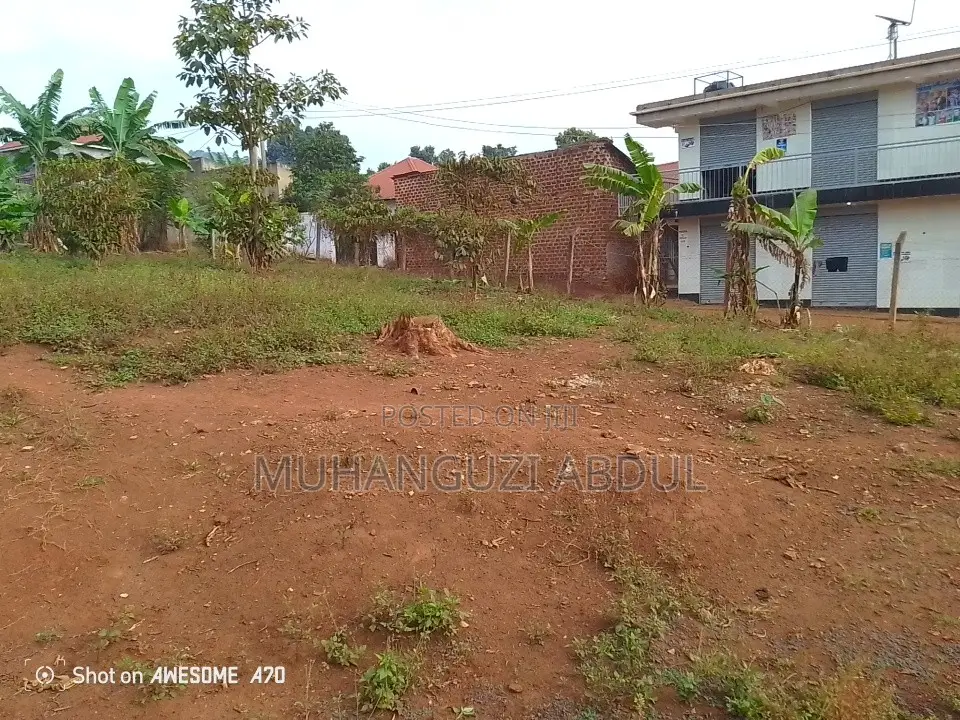 Property in Jomayi Katale