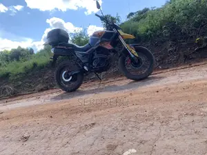 Tekken Simba 250 2019 Orange