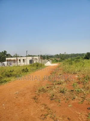 This Is Still Busiika Estate 19m