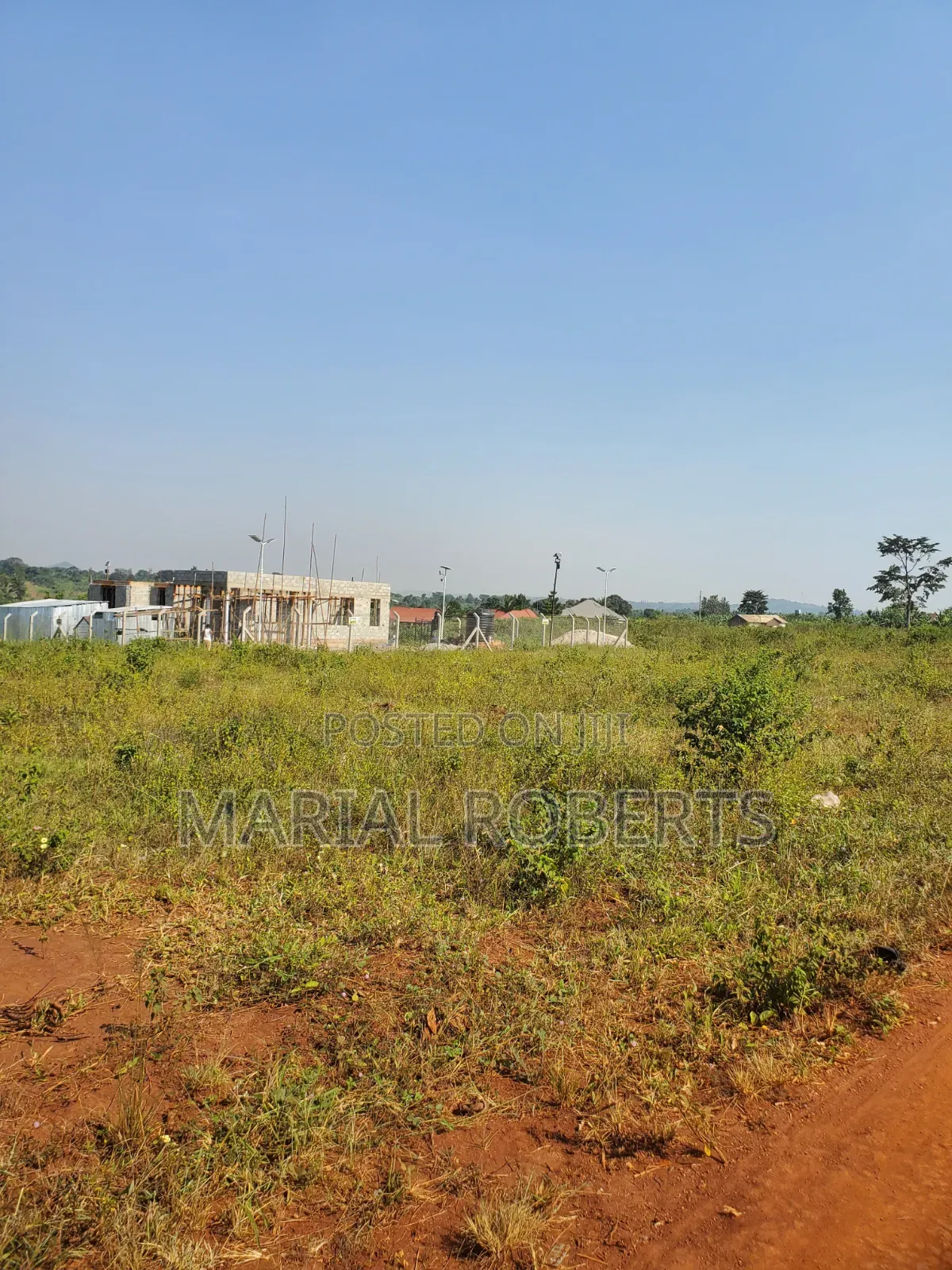 This Is Still Busiika Estate 19m