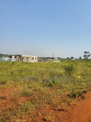This Is Still Busiika Estate 19m