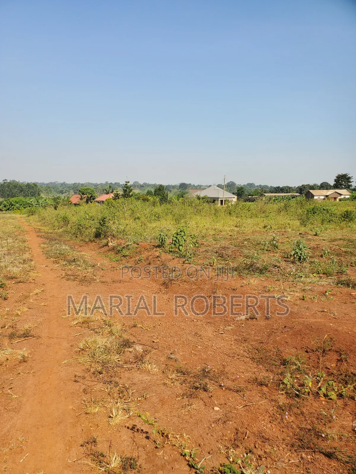 This Is Still Busiika Estate 19m