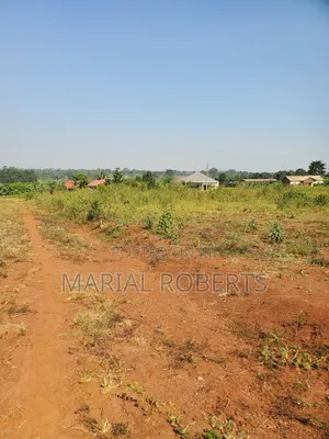 This Is Still Busiika Estate 19m