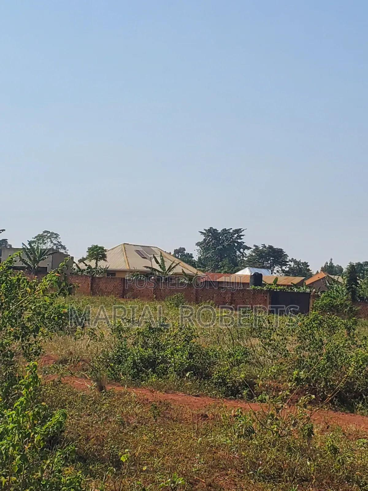 This Is Still Busiika Estate 19m