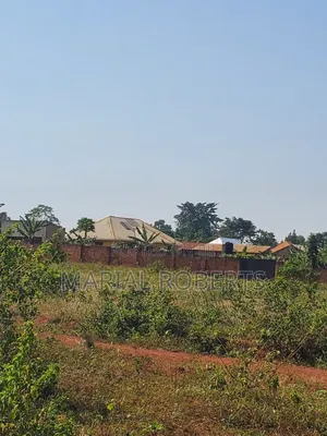 This Is Still Busiika Estate 19m