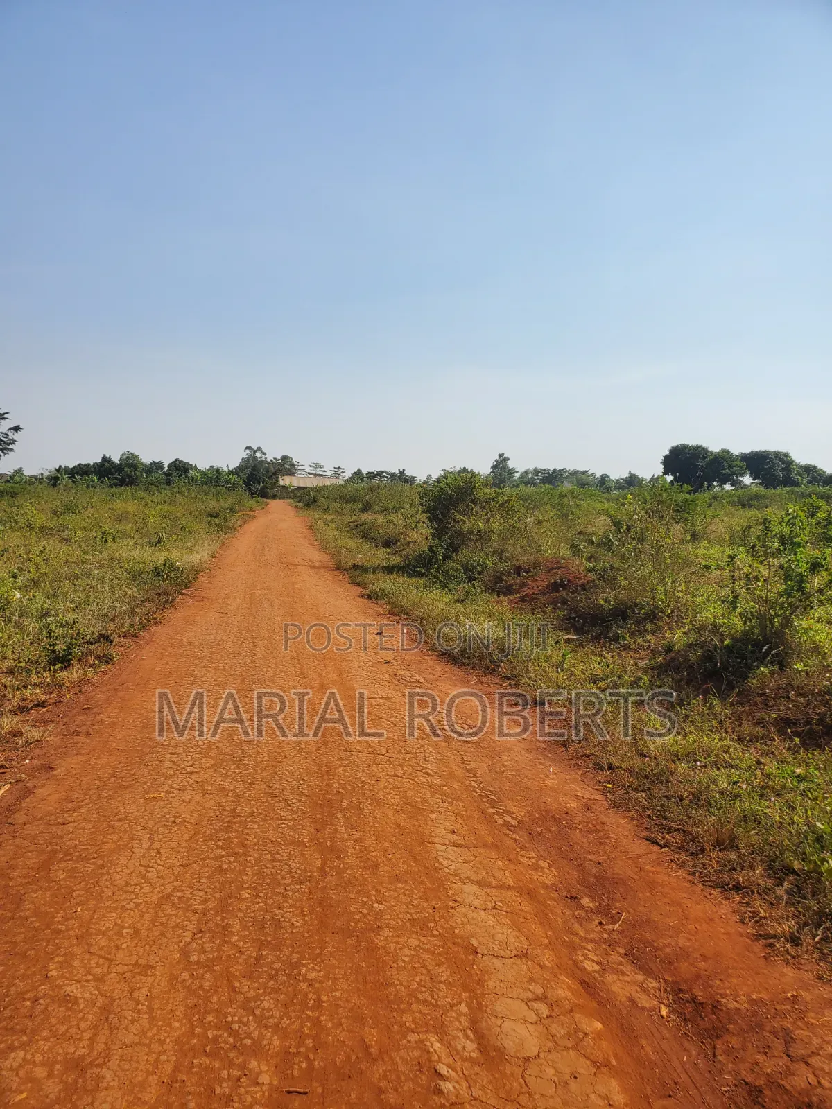 This Is Still Busiika Estate 19m