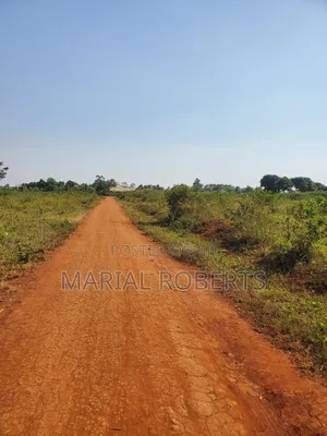 This Is Still Busiika Estate 19m
