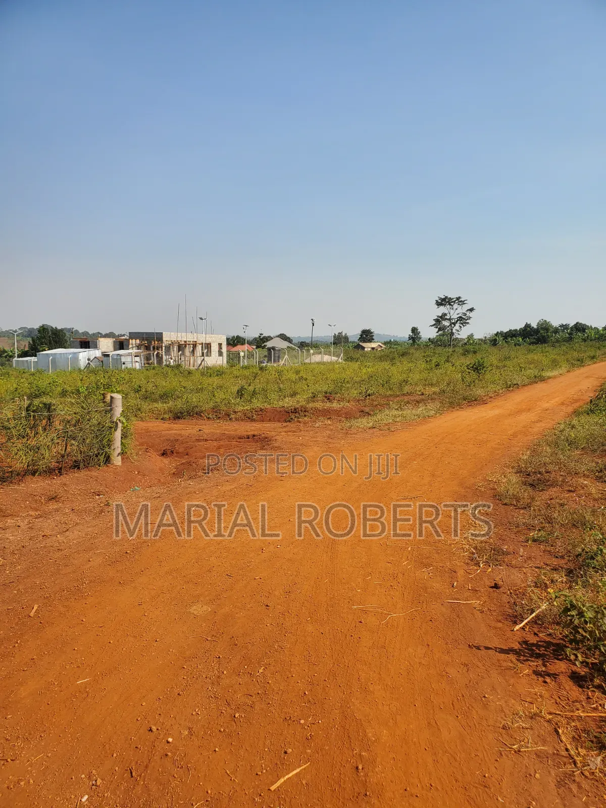 This Is Still Busiika Estate 19m