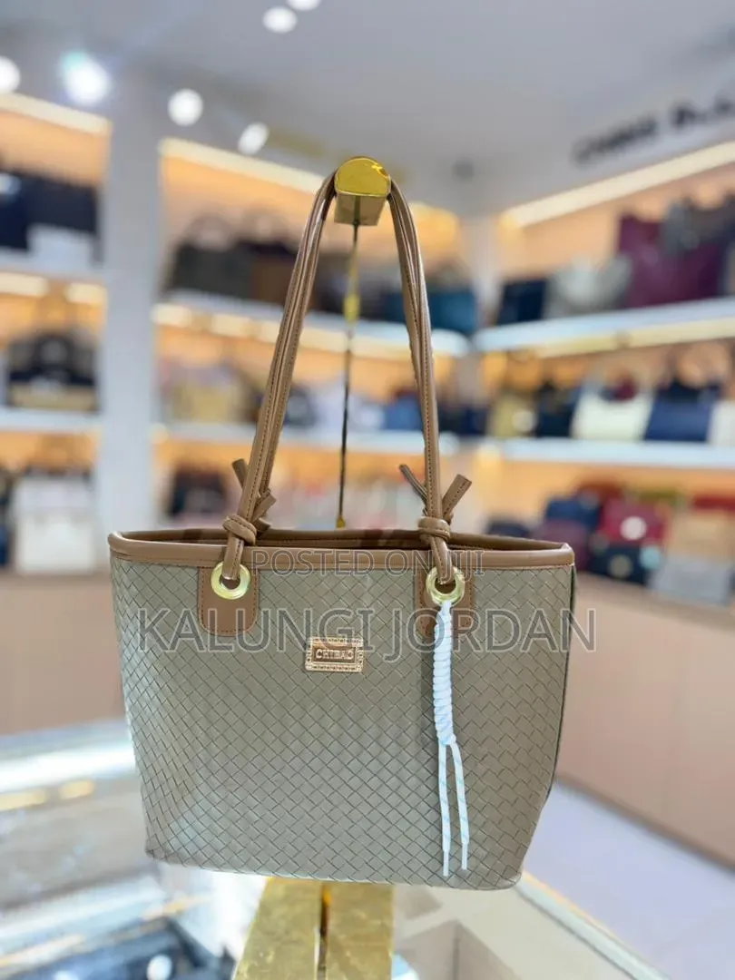All Lady's Bags Are Available in All Shapes, Types , and Styles