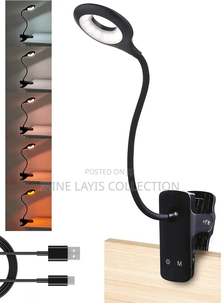 Desk Lamp With a Flexible Gooseneck and a Strong Clip Base,