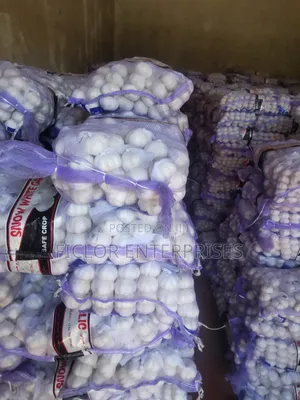 Garlic for Sale – Wholesale Retail