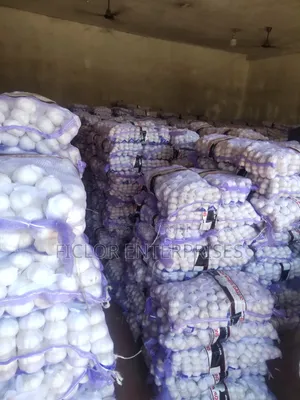 Garlic for Sale – Wholesale Retail