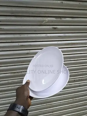 Unbreakable Melamine Plates Melamine Plates 12pcs
