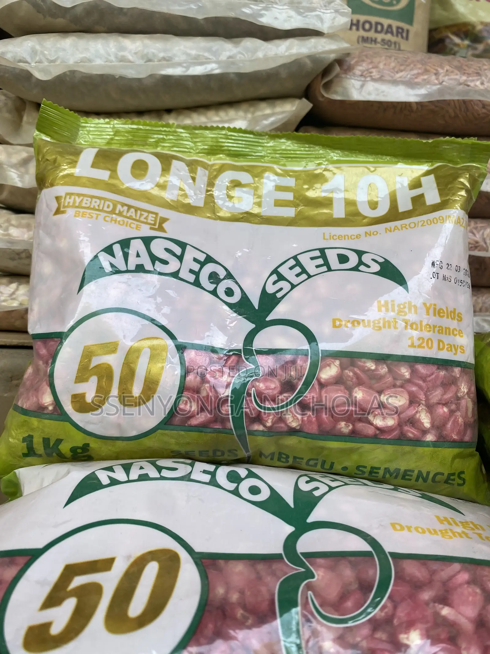 Maize Seeds-Longe10h - 1kg