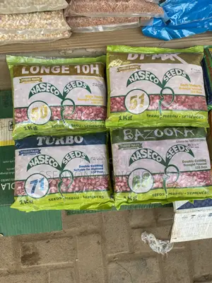 Maize Seeds-Longe10h - 1kg