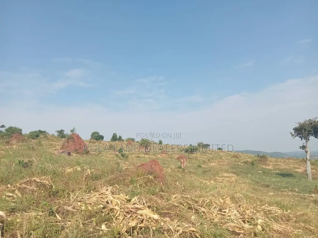 400 Acres of Land