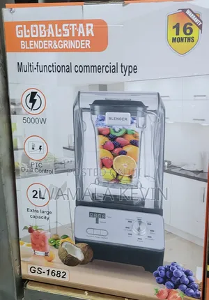 Commercial Blender and Grinder