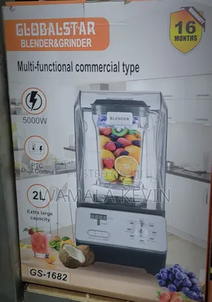 Commercial Blender and Grinder