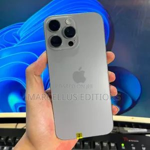 Apple iPhone 15 Pro Max 256 GB Gray