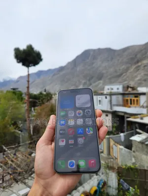 Apple iPhone 15 Pro Max 256 GB Gray
