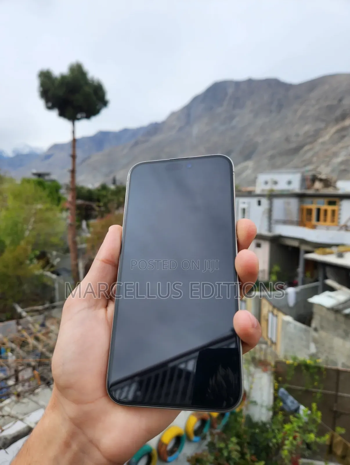 Apple iPhone 15 Pro Max 256 GB Gray
