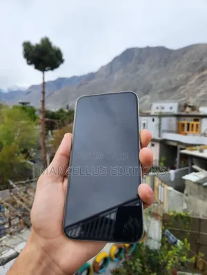 Apple iPhone 15 Pro Max 256 GB Gray