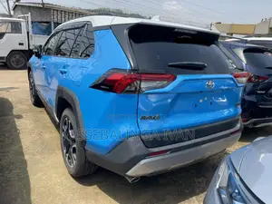 Toyota RAV4 2019 Blue