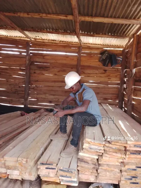 Timber for Sale