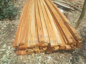 Timber for Sale