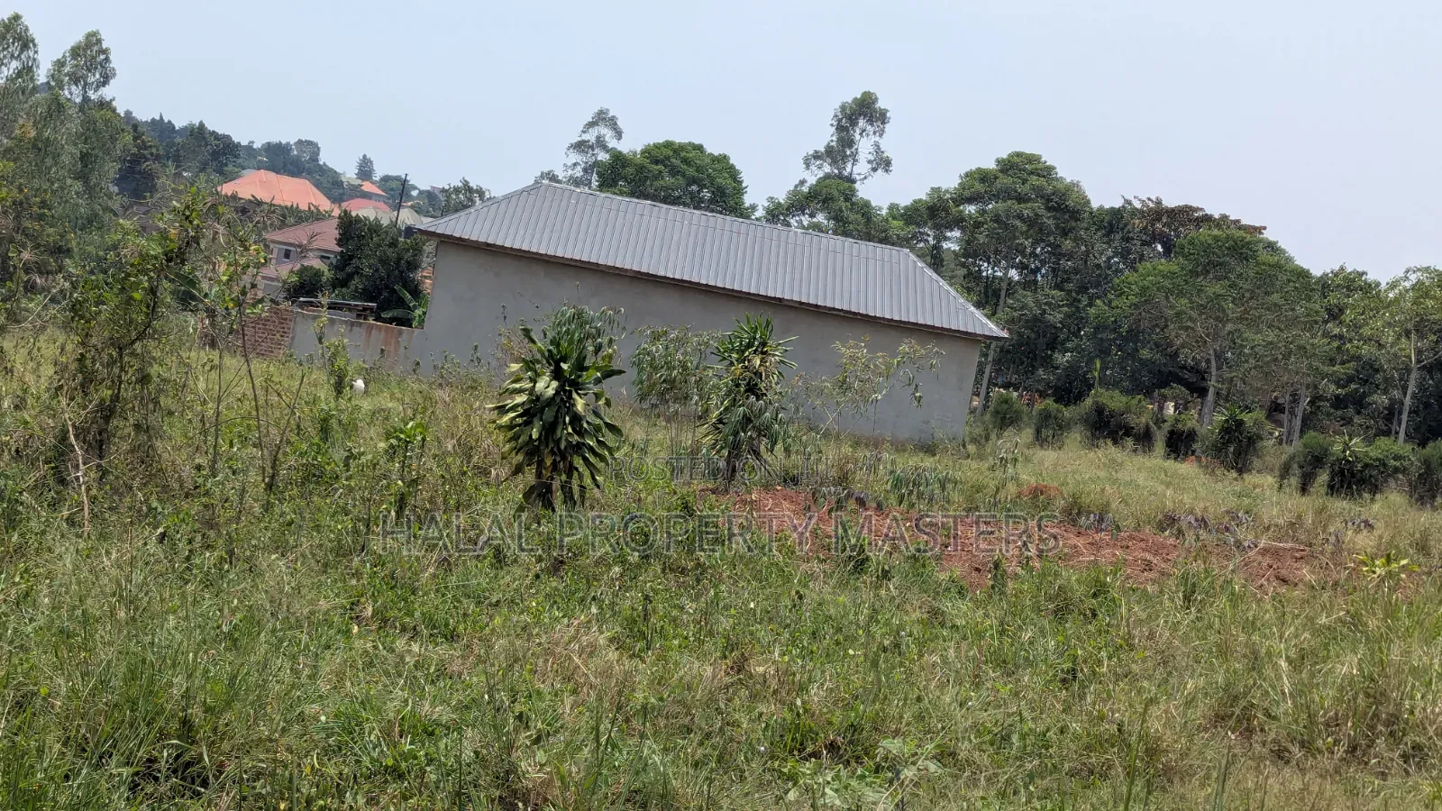 Plot for Sale in Matugga Kavule Town