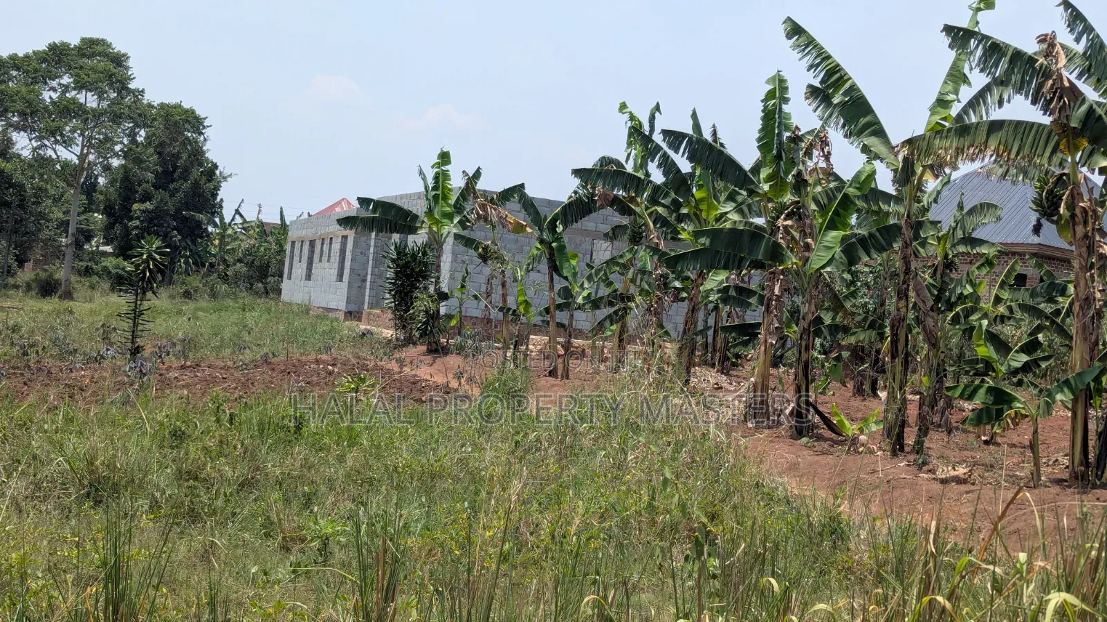 Plot for Sale in Matugga Kavule Town