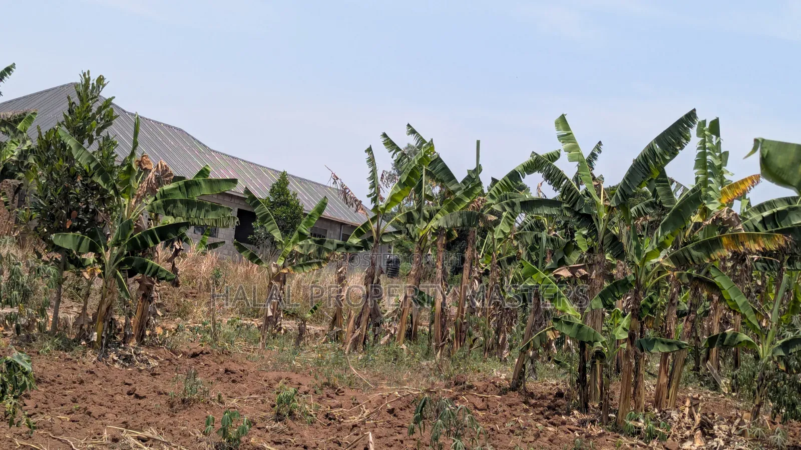 Plot for Sale in Matugga Kavule Town