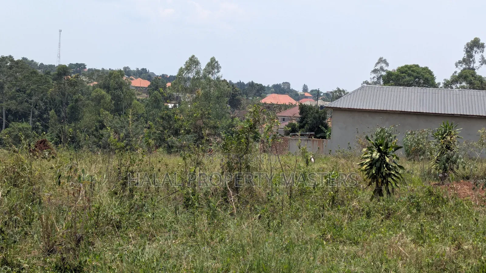 Plot for Sale in Matugga Kavule Town