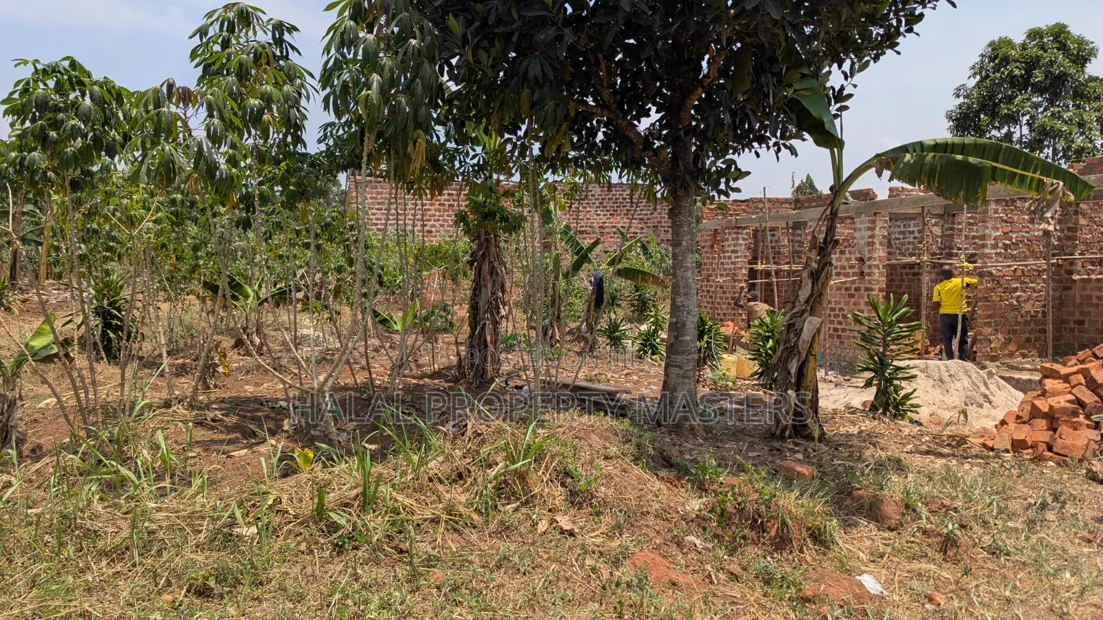 Plot for Sale in Matugga Kavule Town